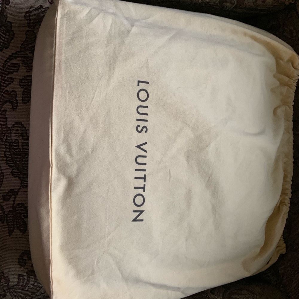 Louis Vuitton Dust Cover 22 x 20”